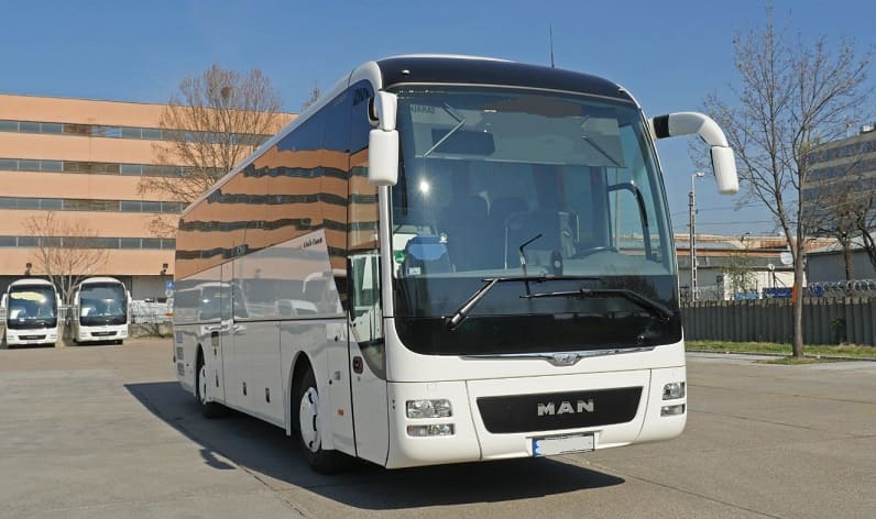 Buses operator in Gorlice 